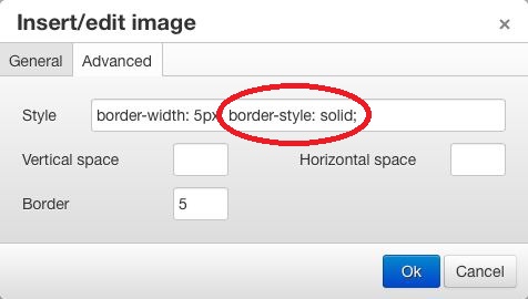 Image dialog Advanced tab with a border style entered